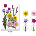 12 In 1 Pressed Flowers Fl170