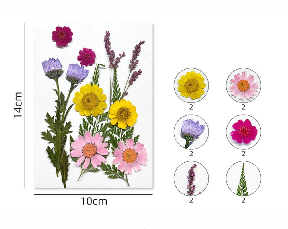 12 In 1 Pressed Flowers Fl170