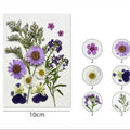 12 In 1 Pressed Flowers Fl171