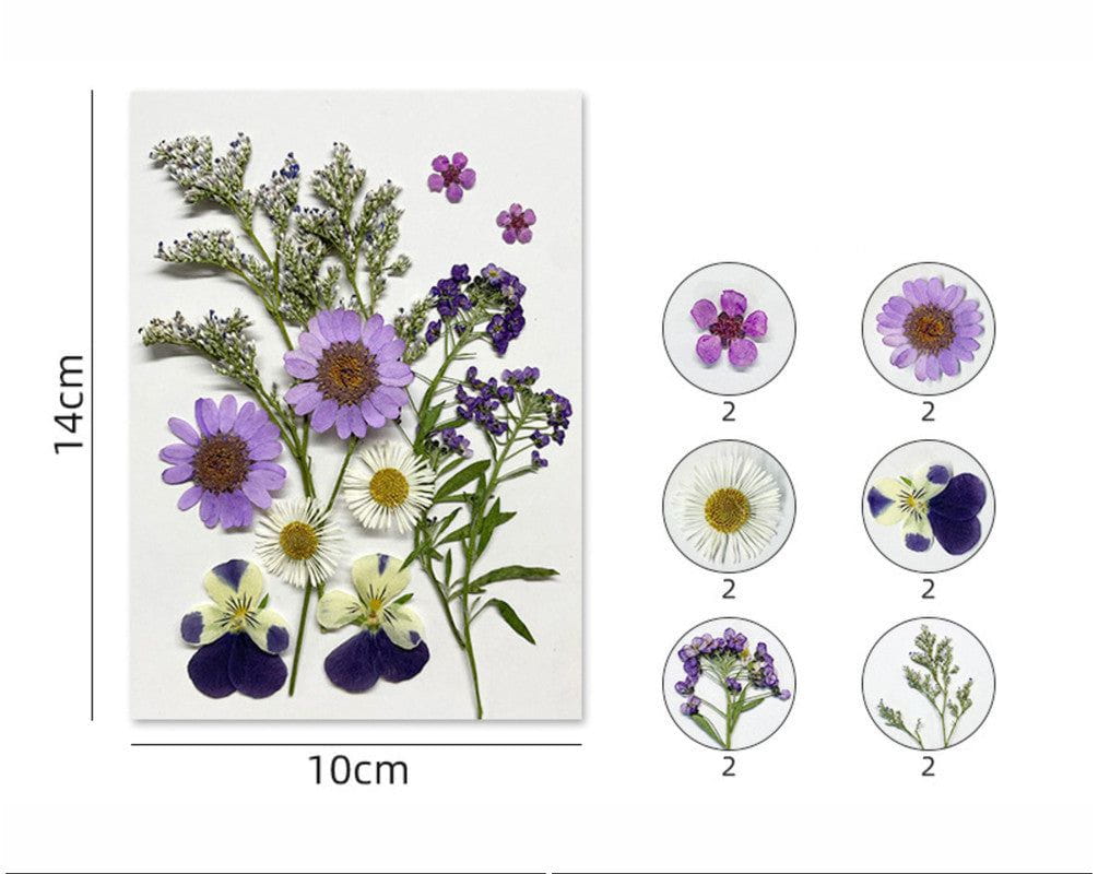 12 In 1 Pressed Flowers Fl171