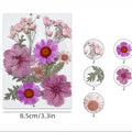 10 In 1 Pressed Flowers Fl172