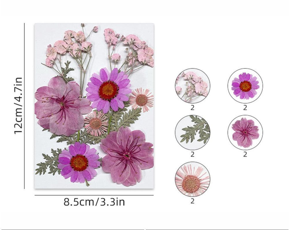 10 In 1 Pressed Flowers Fl172