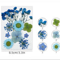 10 In 1 Pressed Flowers Fl173
