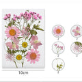 12 In 1 Pressed Flowers Fl174