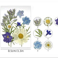 10 In 1 Pressed Flowers Fl175