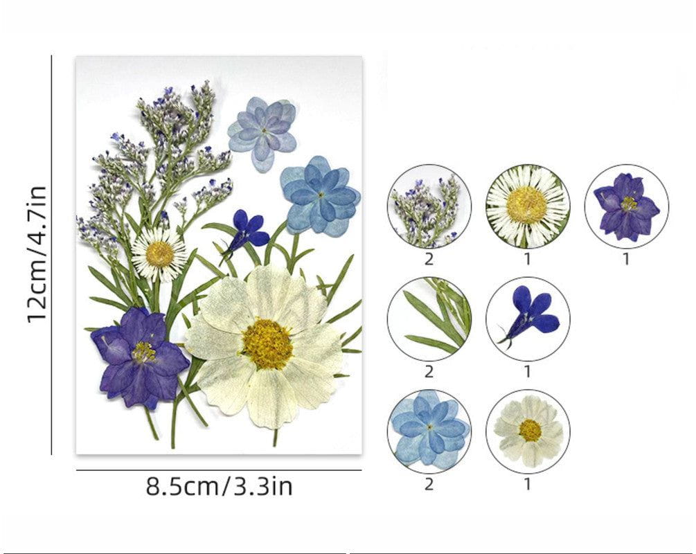 10 In 1 Pressed Flowers Fl175
