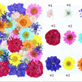 30 In 1 Pressed Flowers Fl176