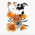 12 In 1 Pressed Flowers Fl178