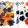 31 In 1 Pressed Flowers Fl180