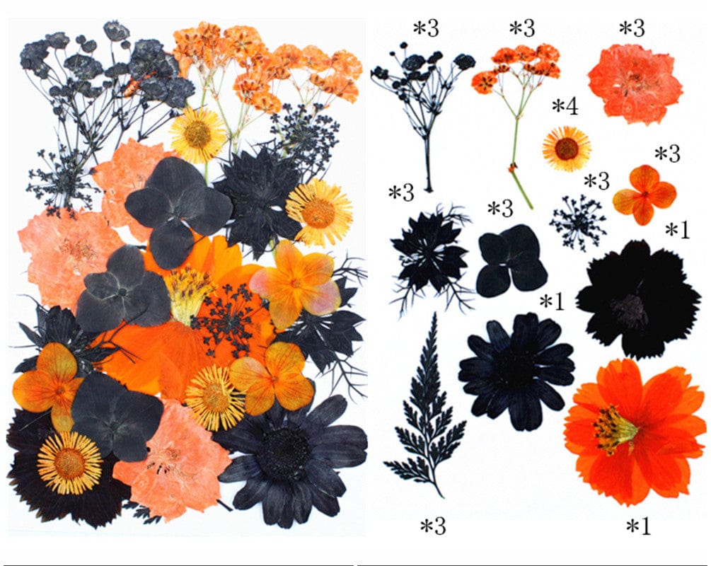 31 In 1 Pressed Flowers Fl180