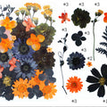 30 In 1 Pressed Flowers Fl181