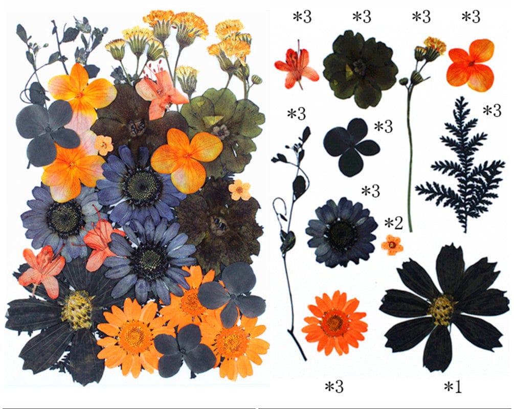 30 In 1 Pressed Flowers Fl181