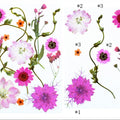 15 In 1 Pressed Flowers Fl183