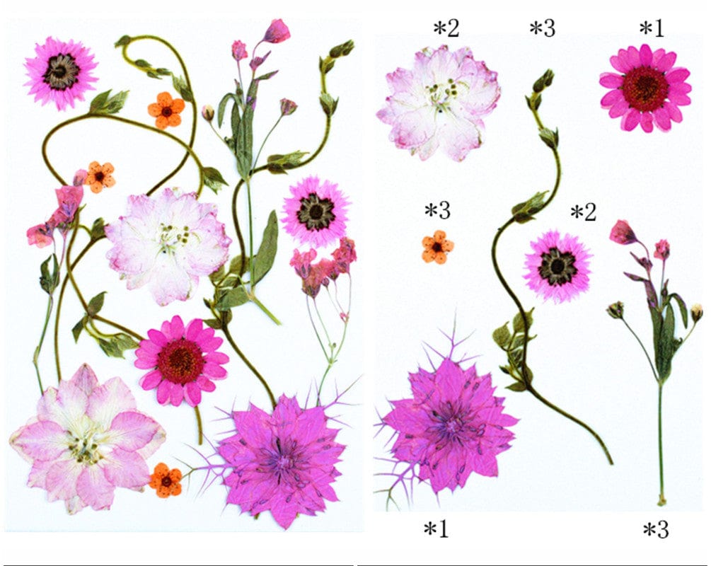 15 In 1 Pressed Flowers Fl183