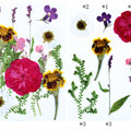 15 In 1 Pressed Flower