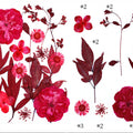 15 In 1 Pressed Flowers Fl185