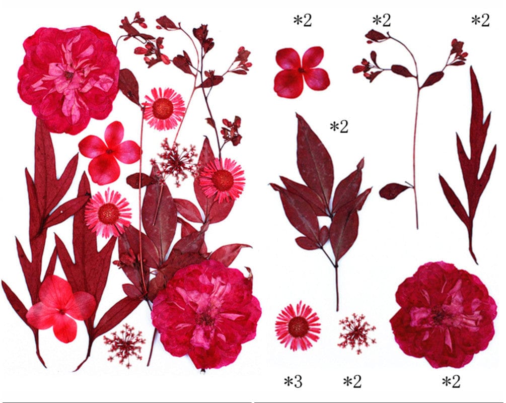 15 In 1 Pressed Flowers Fl185