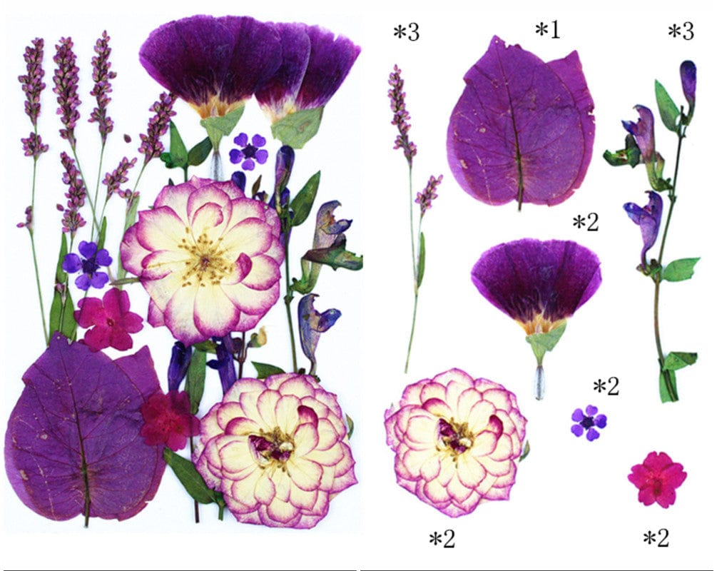 15 In 1 Pressed Flowers Fl186