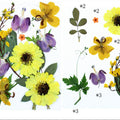 15 In 1 Pressed Flowers Fl187