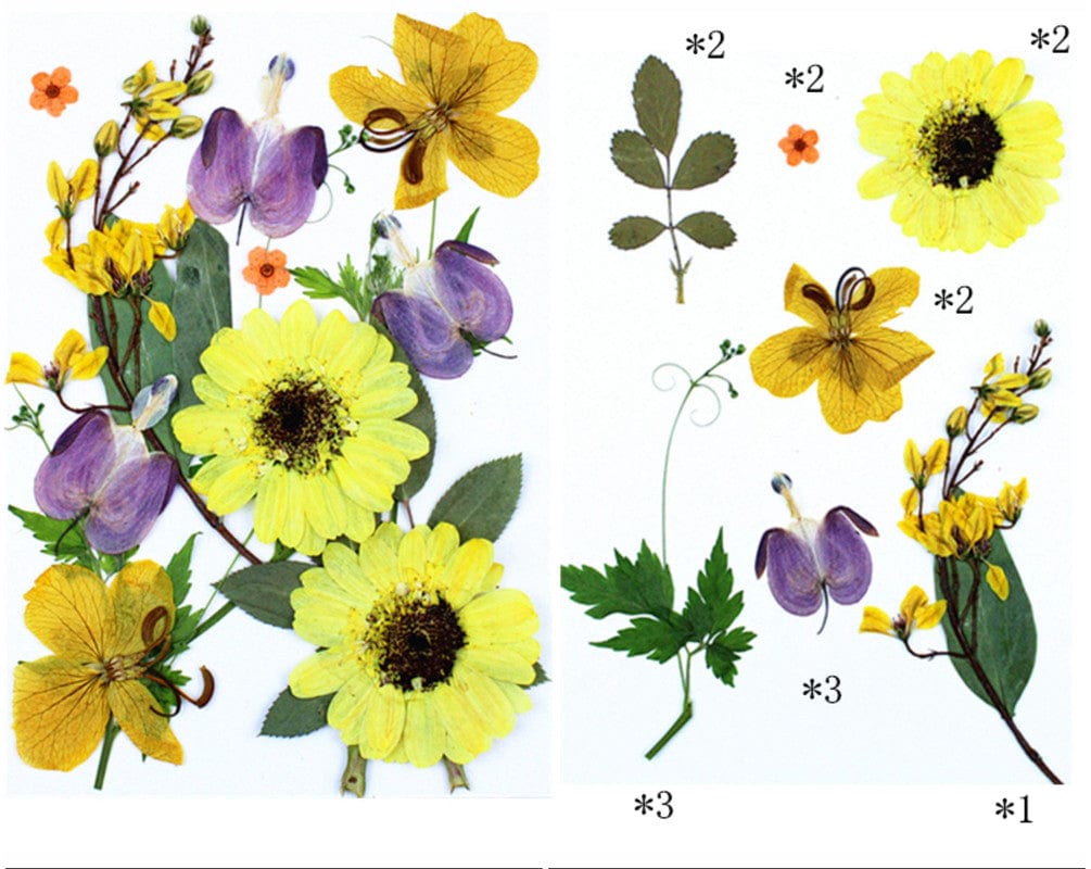 15 In 1 Pressed Flowers Fl187