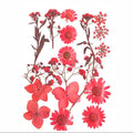 18 In 1 Pressed Flowers Fl191