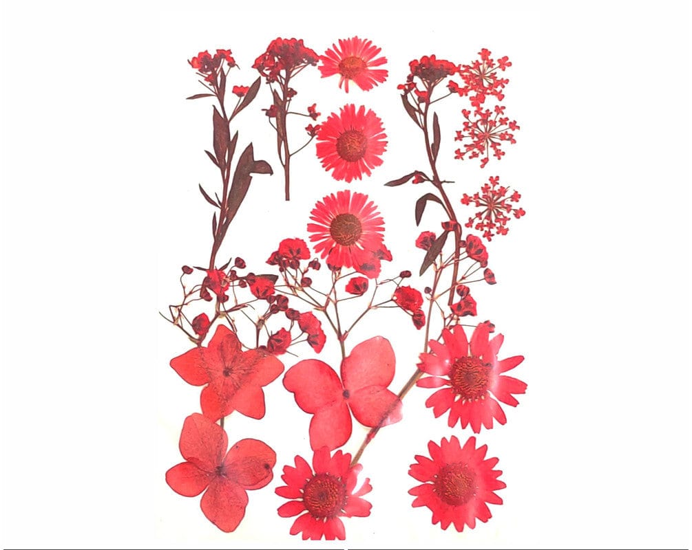 18 In 1 Pressed Flowers Fl191