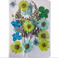 24 In 1 Pressed Flowers Fl192