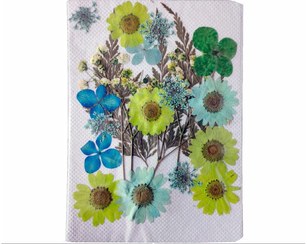 24 In 1 Pressed Flowers Fl192
