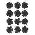 Black Daisy Pressed Dry Flower