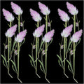 12Pcs Celosia Palmeri Dry Pressed Flower