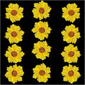 12Pcs Yellow Wild Dry Pressed Flower