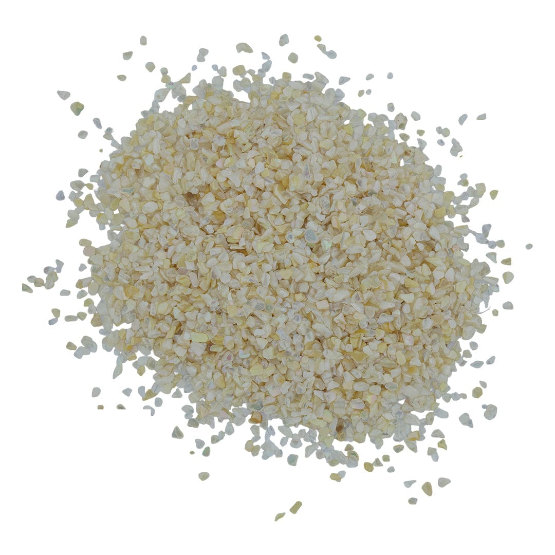 Shell Chips (500gms)