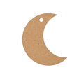 Moon Crescent Hanging Charm