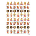Hanumanji Insert Sheet (Transparent Sheet) IS098