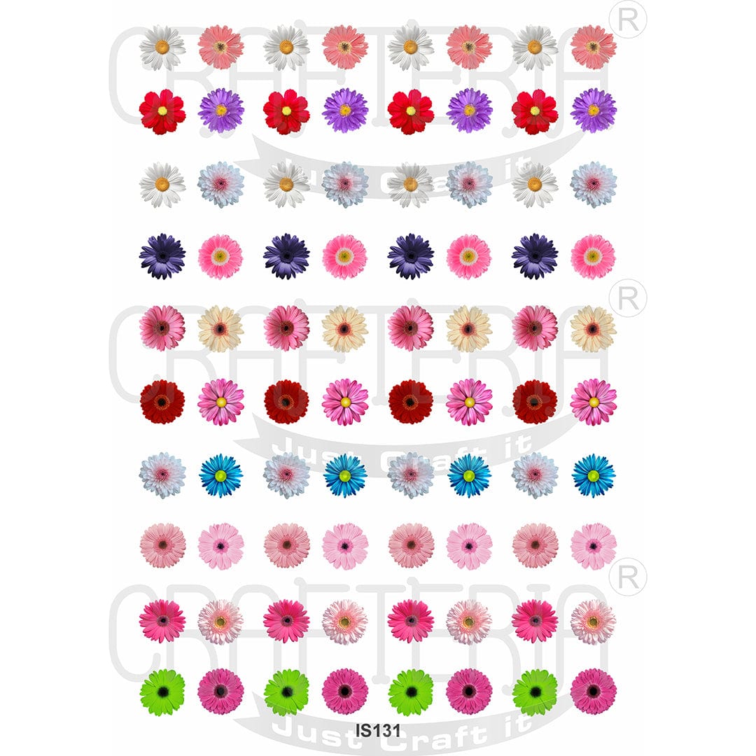 Daisy Flower Designs Insert Sheet (Transparent Sheet) IS131