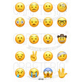 Emoji 1.5 Inch Designs Insert Sheet (Transparent Sheet) IS158