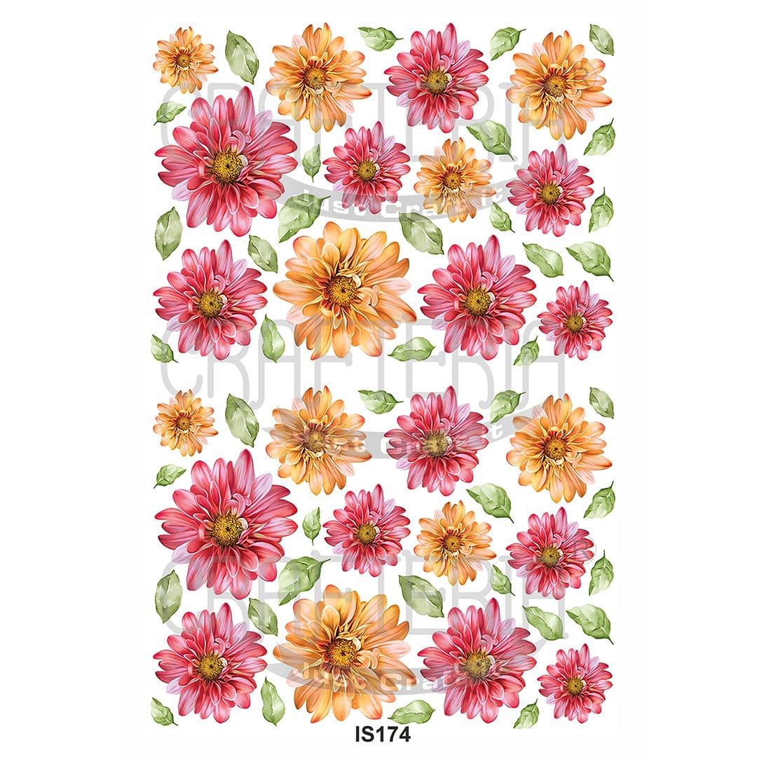 Floral Designs Insert Sheet (Transparent Sheet) IS174