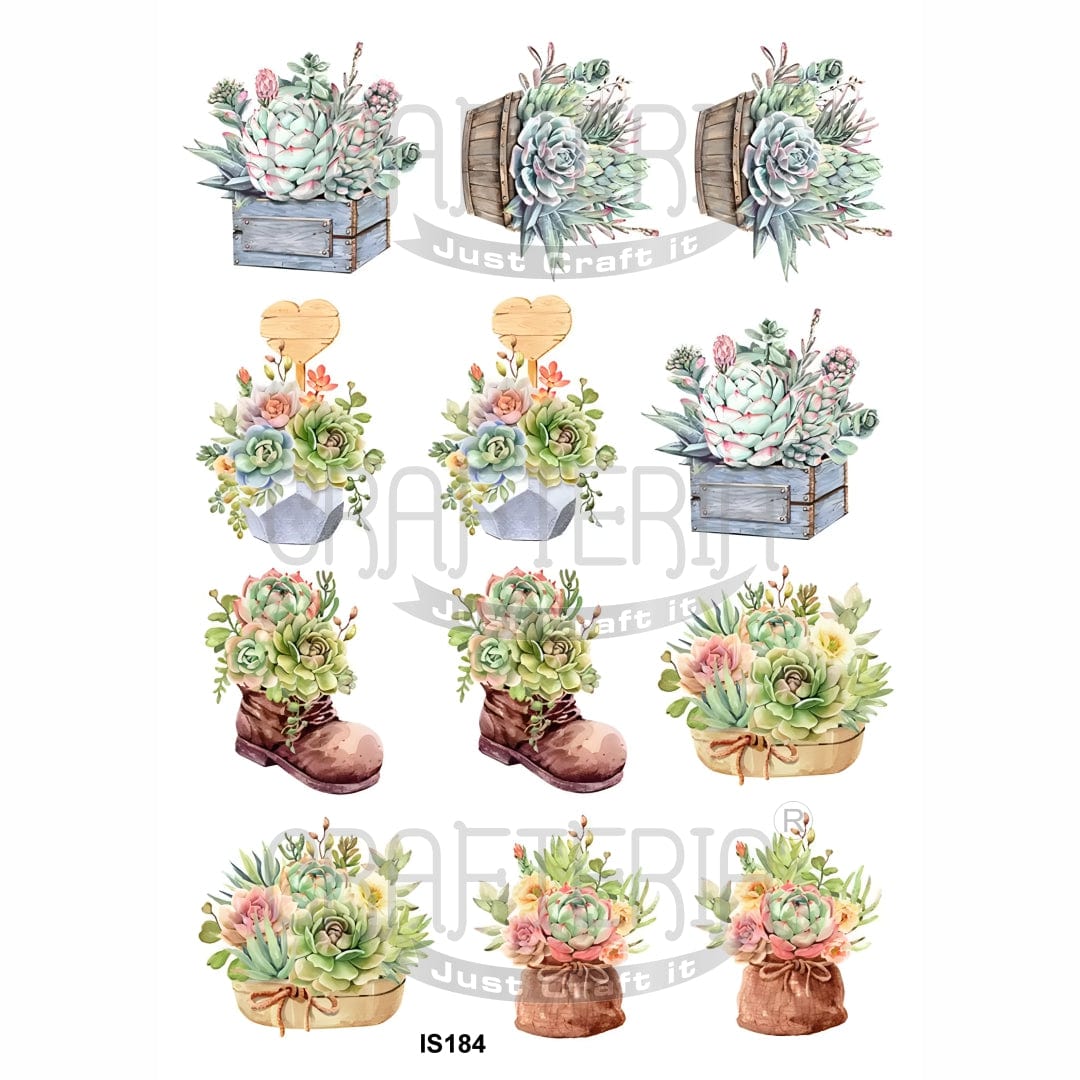 Flower Designs Insert Sheet (Transparent Sheet) IS184