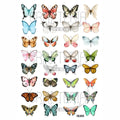 Butterfly Designs Insert Sheet (Transparent Sheet) IS205
