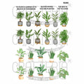 Plants Designs Insert Sheet (Transparent Sheet) IS260