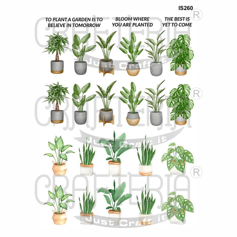 Plants Designs Insert Sheet (Transparent Sheet) IS260