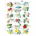 Floral Designs Insert Sheet (Transparent Sheet) IS282