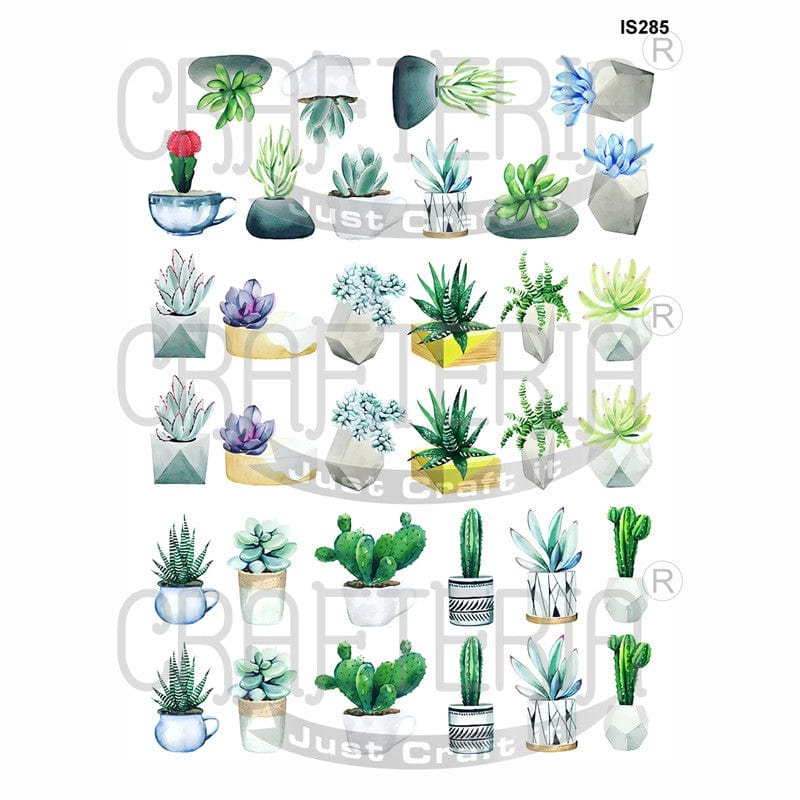 Floral Designs Insert Sheet (Transparent Sheet) IS285