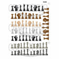 Chess Designs Insert Sheet (Transparent Sheet) IS299