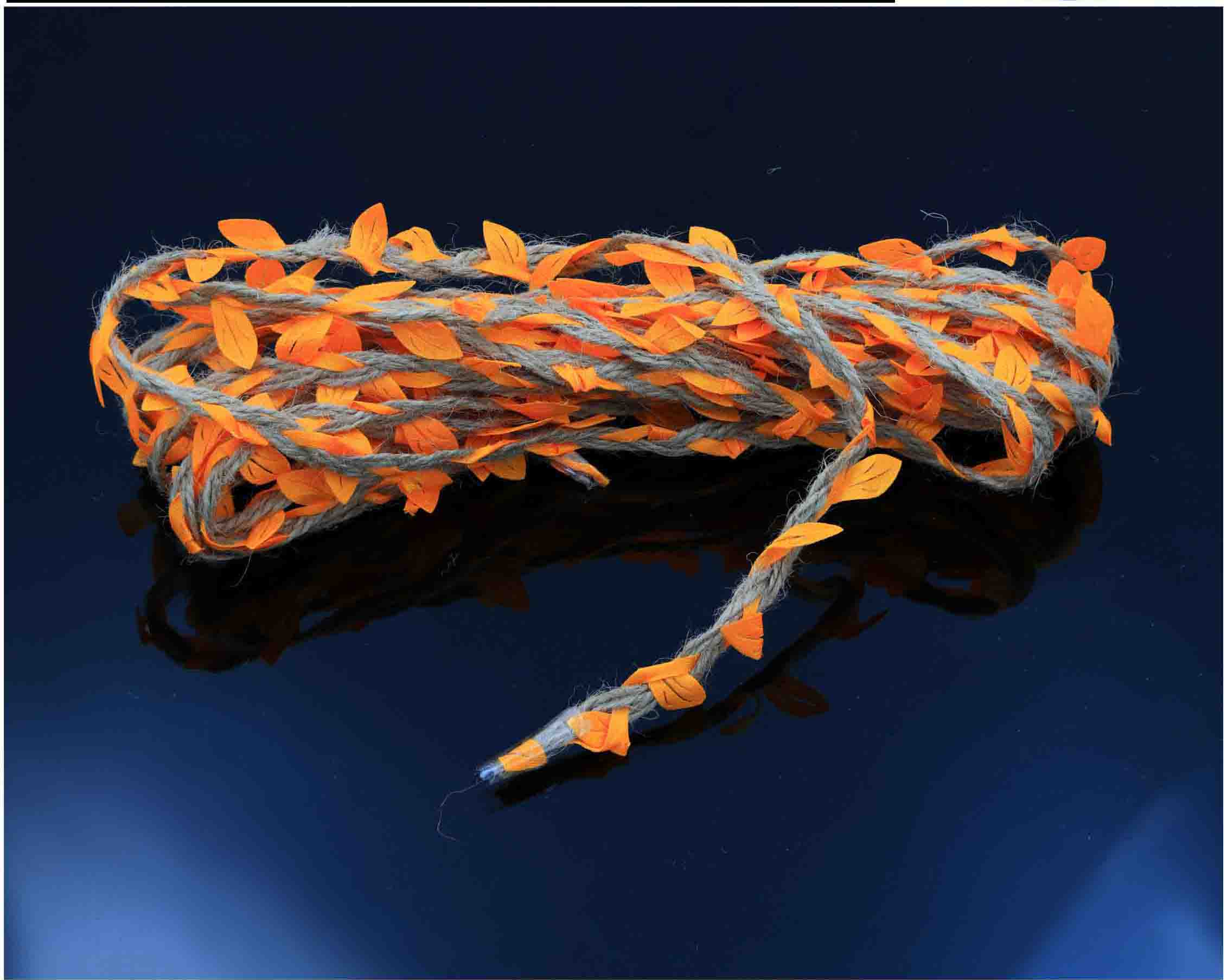 Jute Dore With Orange Leaf