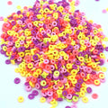 Round With Center Hole Shape Polymer Chips