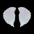 Fairy Wings Set Coaster Mould