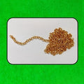 Medium Rakhi & Bracelet Chain Gold