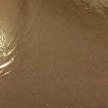 Taiwan Champagne Gold Immitation Foil