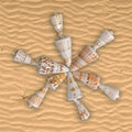 Shell (100Gms)